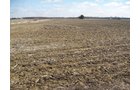 Property photo 38 - 127 Acres Offered in 4 Tracts